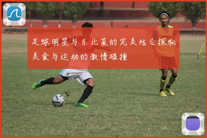 足球明星与东北菜的完美结合探秘美食与运动的激情碰撞