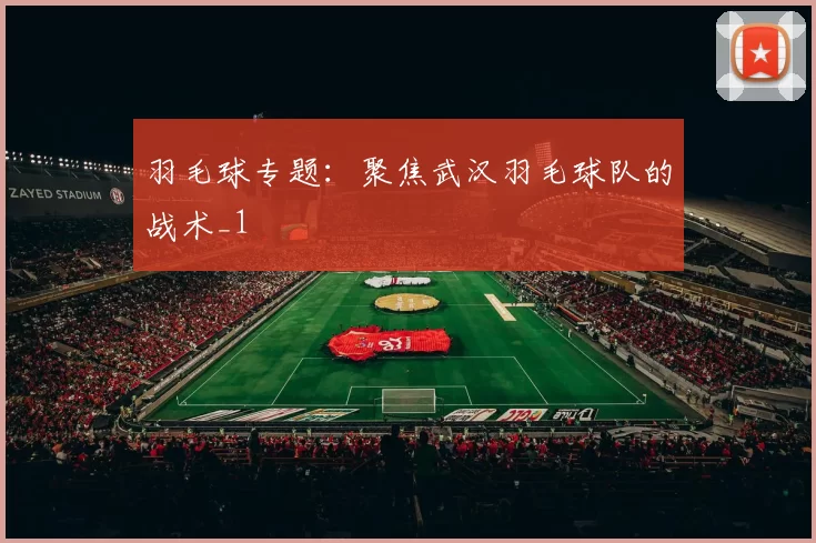 羽毛球专题：聚焦武汉羽毛球队的战术_1