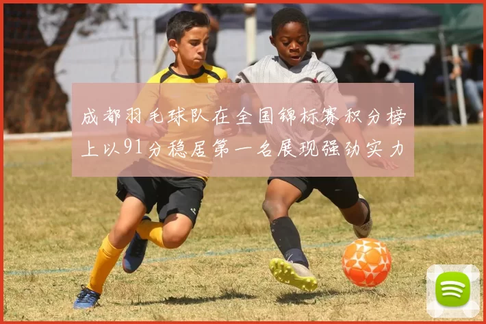 成都羽毛球队在全国锦标赛积分榜上以91分稳居第一名展现强劲实力