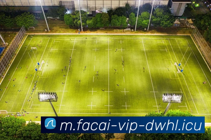 多媒体互动体验